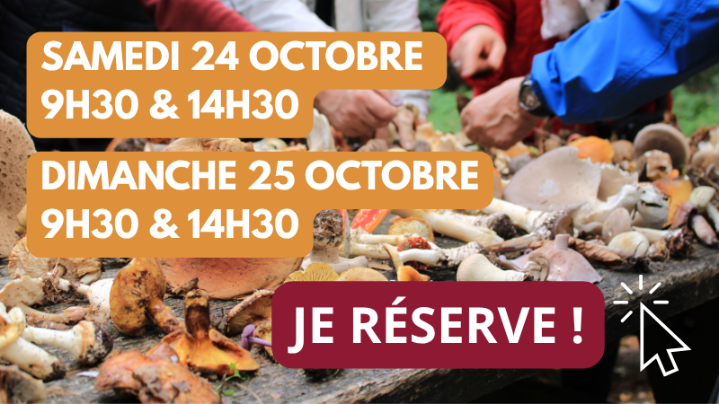 R&eacute;servation en ligne sorties mycologiques